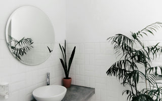 Sustainable Bathrooms: Possibilities Are Endless